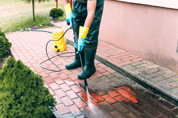 Best Gutter Cleaning  in Cockeysville, MD
